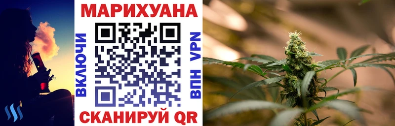 МЕГА ССЫЛКА  Владимир  Шишки марихуана THC 21% 